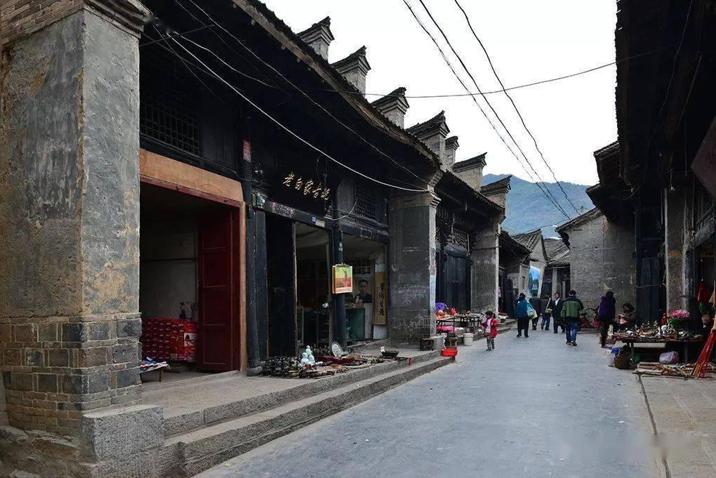 救援可爱小猪仔